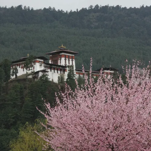TOB Bumthang-06